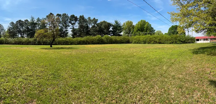 Large open lawn area with tree-lined privacy.