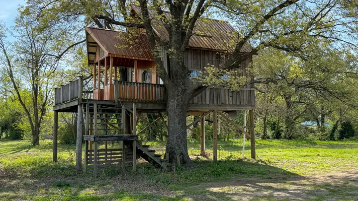 Elevated treehouse tucked among mature trees.